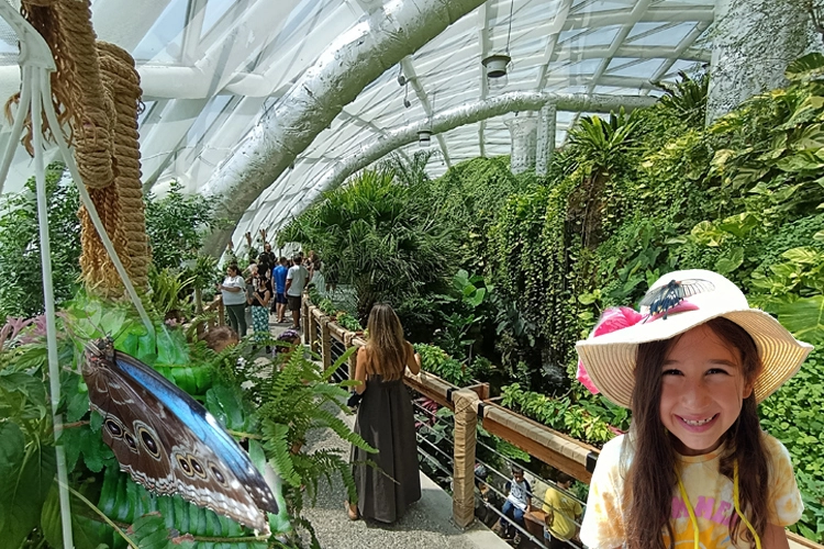 Konya'nın tropikal bahçesi ziyaretçileri büyülüyor