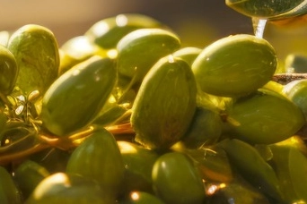 İzmir Kooperatifçilik Buluşmaları 19 Aralık’ta