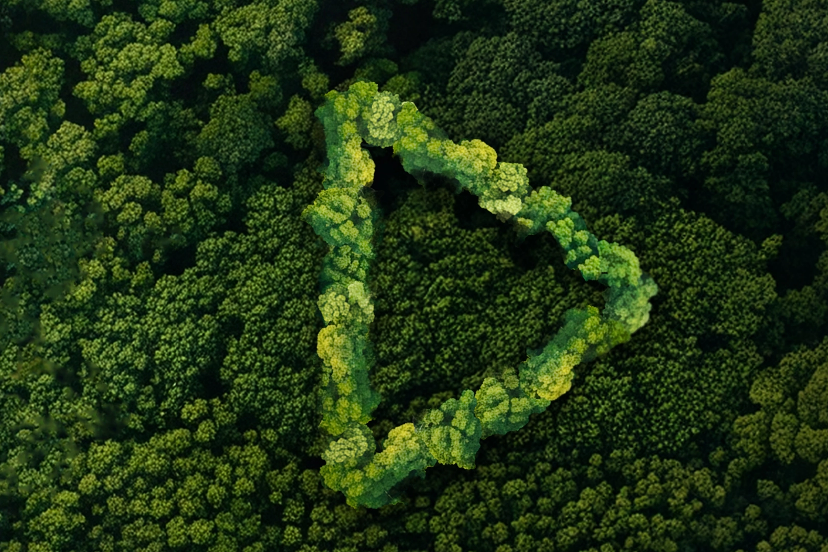 Yeşil Vatan finalistleri belli oldu... Ödüller 19 Ocak'ta