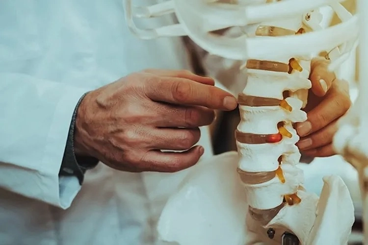 Dünyada her 3 kişiden birinde görülen kemik erimesi (osteoporoz) hastalığı