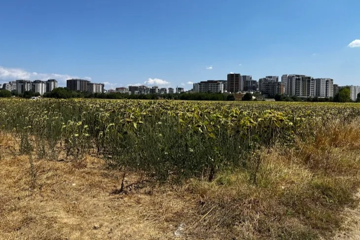 Akçalar Mahallesi’nde çiftçinin en büyük geçim kaynağı olan mısır ve