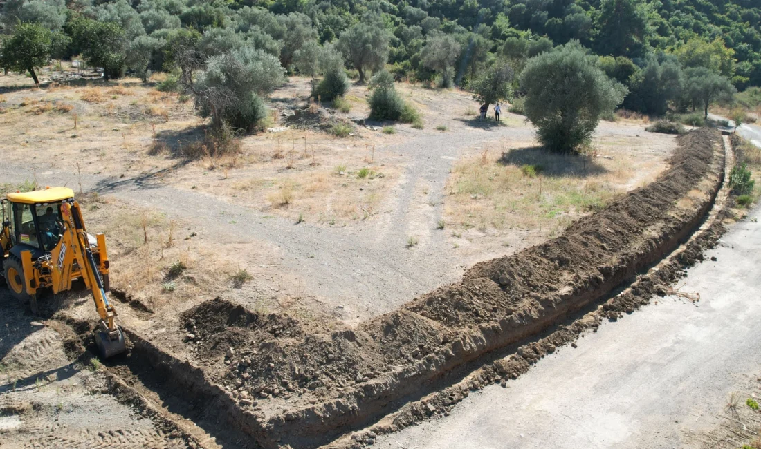 İzmir’de Güzelbahçe Belediyesi, meclisten geçerek yasalaşan sokak hayvanları ile ilgili