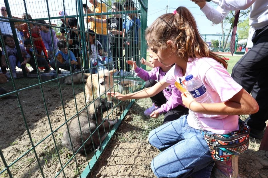 İnegöl’de hayvanları koruma gününe renkli kutlama