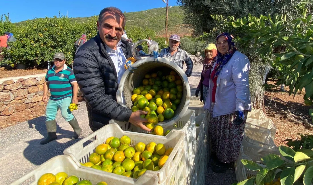 Sonbaharın habercisi, grip ve