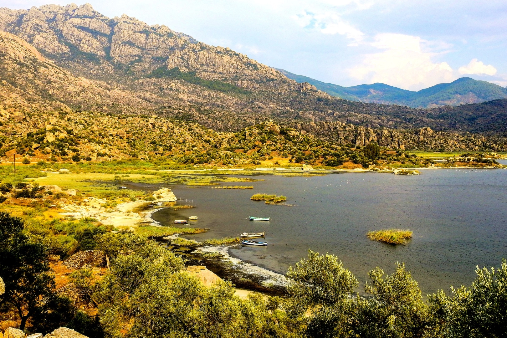 Proje Evi Kooperatifi, 2 Şubat Dünya Sulak Alanlar Günü’nde, Sulak